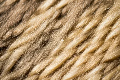 Illustration carpeting - Image 1