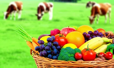 Illustration nondairy