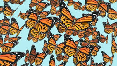 Illustration rabble - Image 2