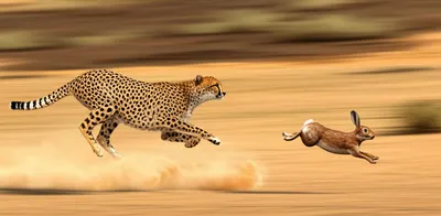 Illustration hastened - Image 1