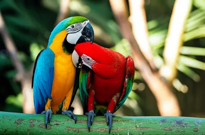 Illustration mate - Image 1