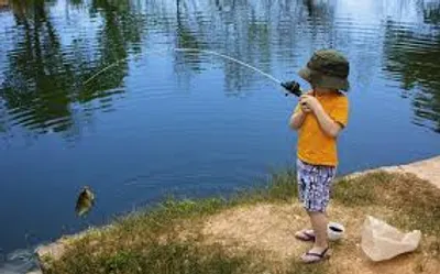 Illustration play - Image 5