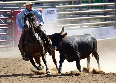 Illustration haze - Image 1