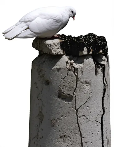 Illustration defile - Image 1