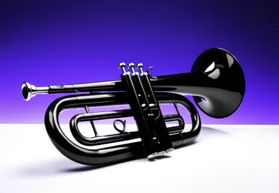 Illustration bugle - Image 1