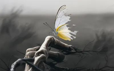 Illustration delicacy - Image 1