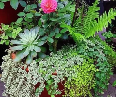 Illustration filler - Image 1