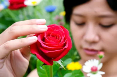 Illustration affected - Image 1