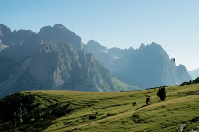 Illustration plateaux - Image 1