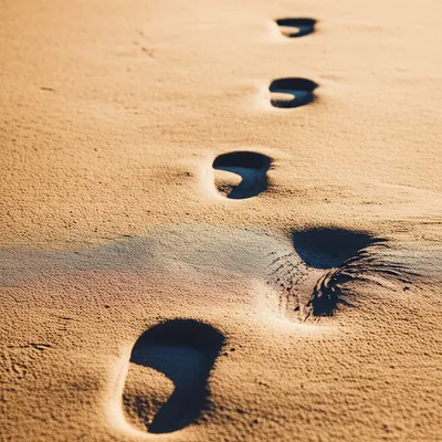 Illustration trace - Image 1