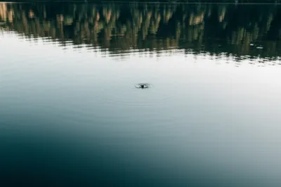 Illustration ripples - Image 1