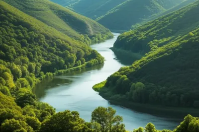 Illustration relaxed - Image 1