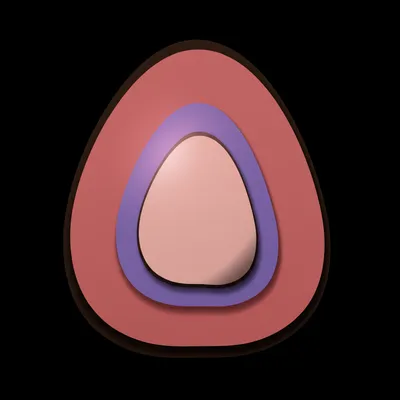 Illustration belly - Image 1