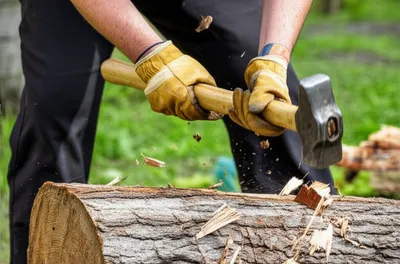 Illustration wedges - Image 1