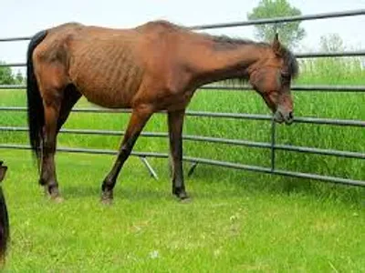 Illustration plug - Image 2