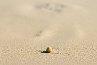 Illustration jots - Image 1