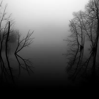 Illustration murk - Image 1