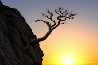 Illustration endures - Image 1