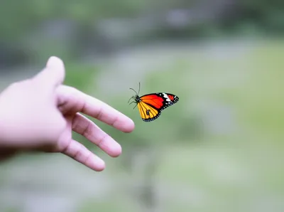 Illustration tremulous - Image 1