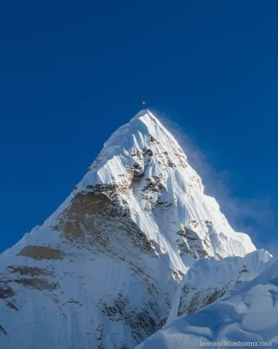 Illustration culmen - Image 1