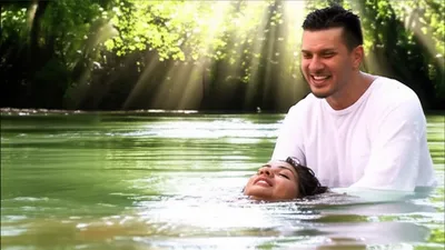 Illustration dips - Image 1