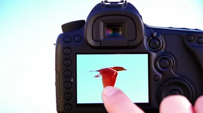 Hình ảnh minh họa retaking - Ảnh 1