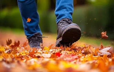 Illustration trample - Image 1