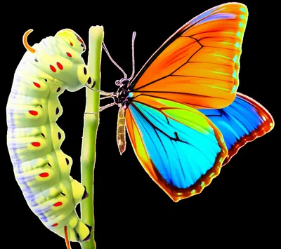 Illustration cum - Image 1