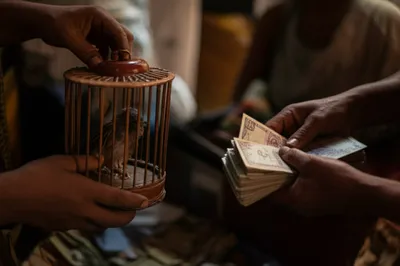 Illustration trafficked - Image 1