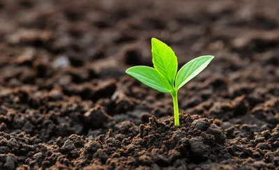 Illustration economy - Image 1