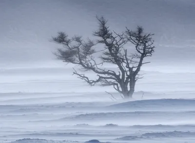 Illustration stark - Image 1