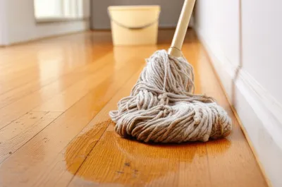 Illustration mop - Image 1