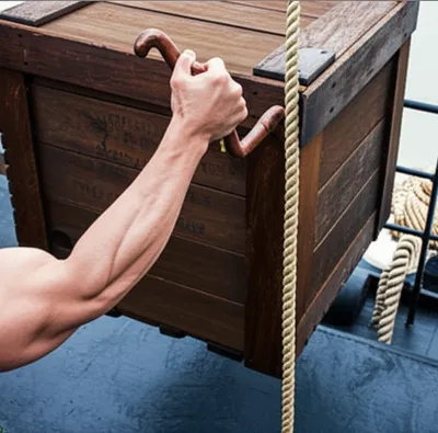 Illustration winds - Image 1