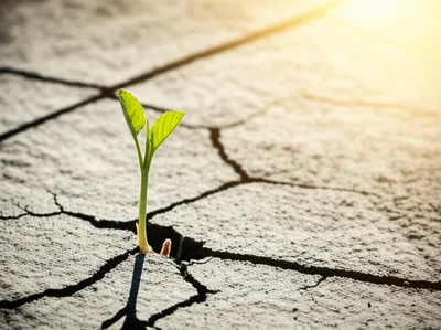 Illustration sticks - Image 1