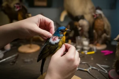 Illustration stuff - Image 1