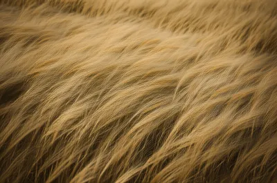 Illustration obliques - Image 1