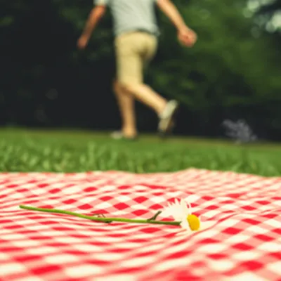 Illustration jams - Image 1