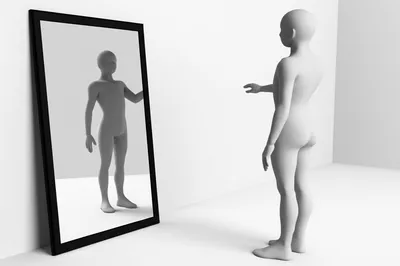 Illustration reflexive - Image 1