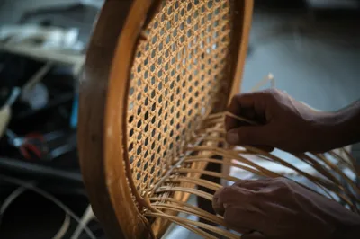 Illustration caned - Image 1