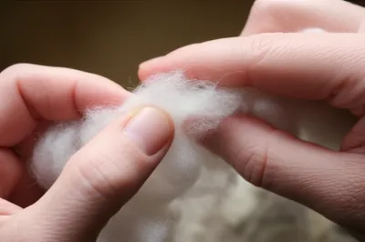 Illustration roved - Image 1