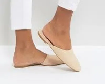 Illustration mule - Image 2