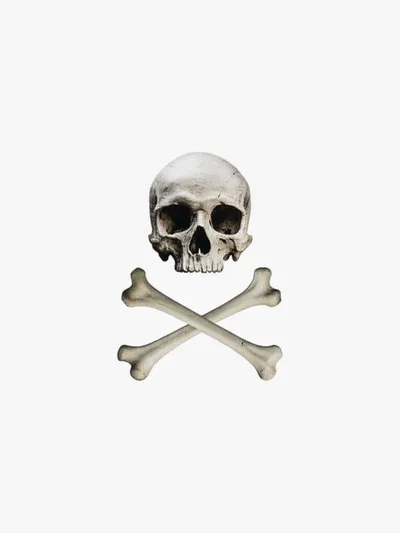 Illustration crossbones