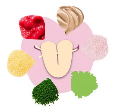 Illustration taste - Image 1