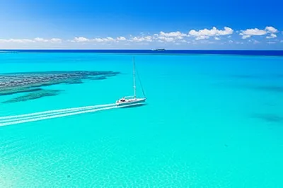 Illustration clearest - Image 1