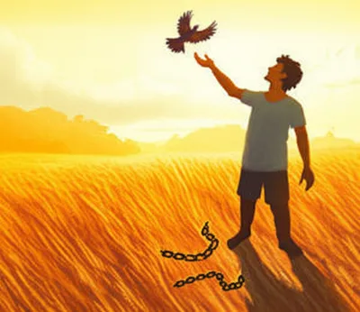 Illustration freedman