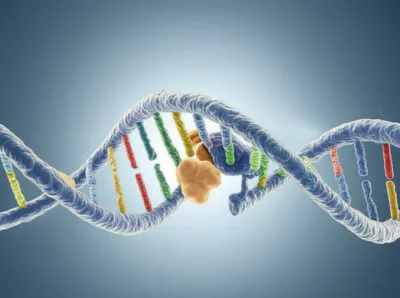 Illustration transcribe - Image 1