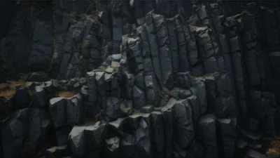 Illustration traps - Image 1