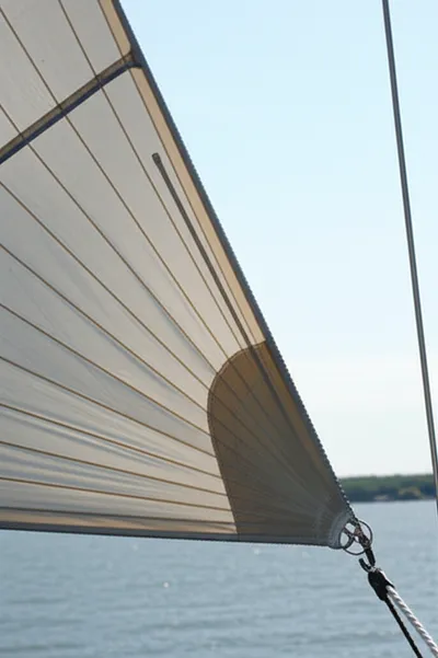 Illustration leaches - Image 1