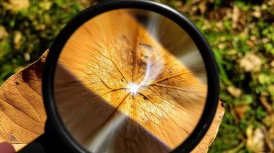 Illustration concentrated - Image 1