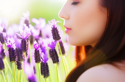 Illustration sweet - Image 1